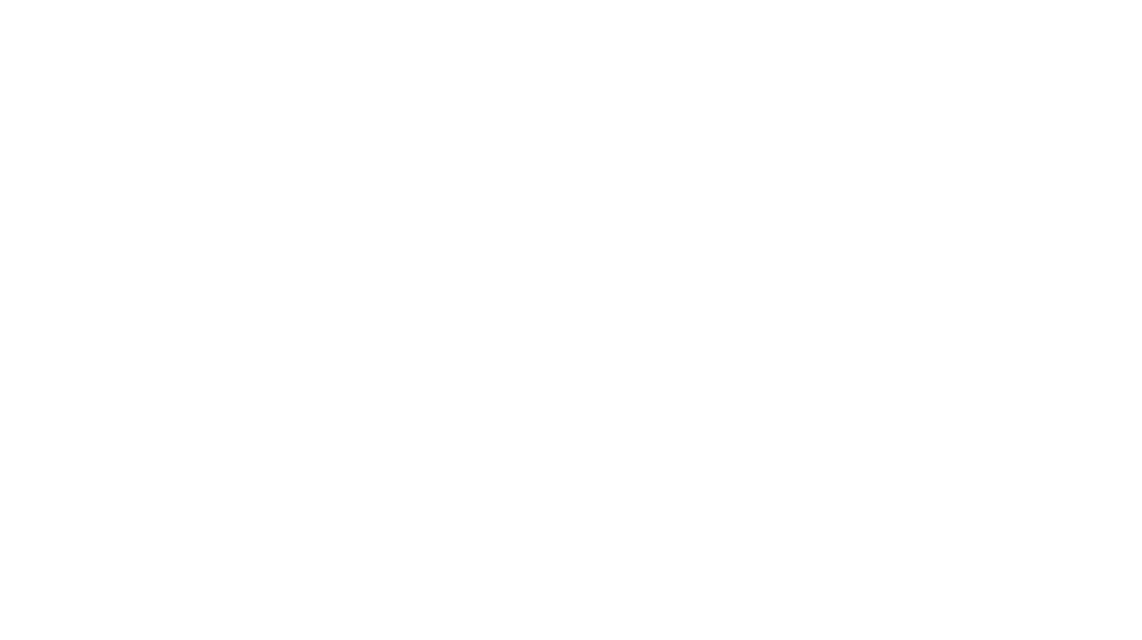 Panthera System